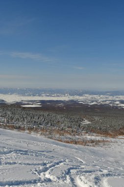 Kışın kar altında kayak turu yapan hokkaido japan güzel bir açık hava manzarası. Yüksek kalite fotoğraf