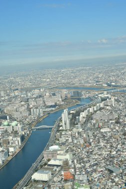 Gökyüzü Ağacı manzaralı Tokyo Şehri manzarası. Yüksek kalite fotoğraf