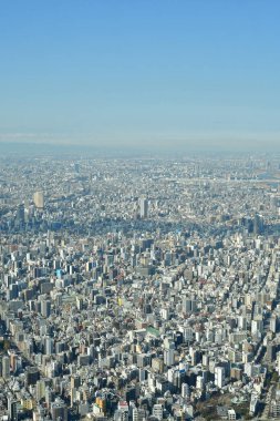 Gökyüzü Ağacı manzaralı Tokyo Şehri manzarası. Yüksek kalite fotoğraf