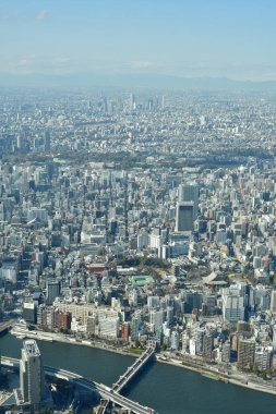 Gökyüzü Ağacı manzaralı Tokyo Şehri manzarası. Yüksek kalite fotoğraf