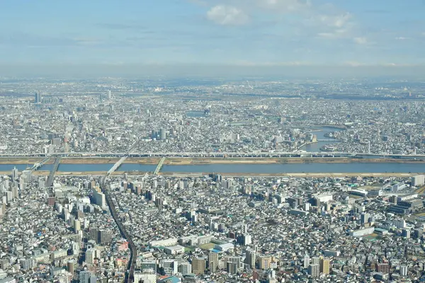 Gökyüzü Ağacı manzaralı Tokyo Şehri manzarası. Yüksek kalite fotoğraf