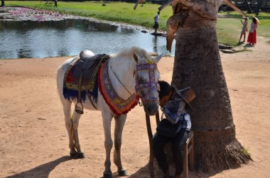 Angkor Wat Tapınağı Kamboçya antik dünya mirası unsesco. Yüksek kalite fotoğraf