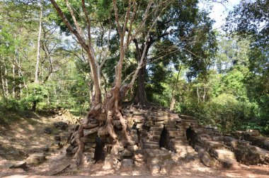 Angkor Wat Tapınağı Kamboçya antik dünya mirası unsesco. Yüksek kalite fotoğraf