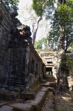 Angkor Wat Tapınağı Kamboçya antik dünya mirası unsesco. Yüksek kalite fotoğraf