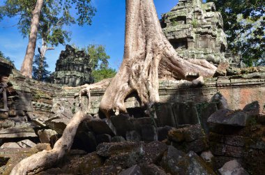 Angkor Wat Tapınağı Kamboçya antik dünya mirası unsesco. Yüksek kalite fotoğraf