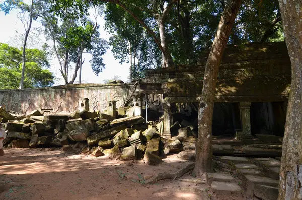 Angkor Wat Tapınağı Kamboçya antik dünya mirası unsesco. Yüksek kalite fotoğraf