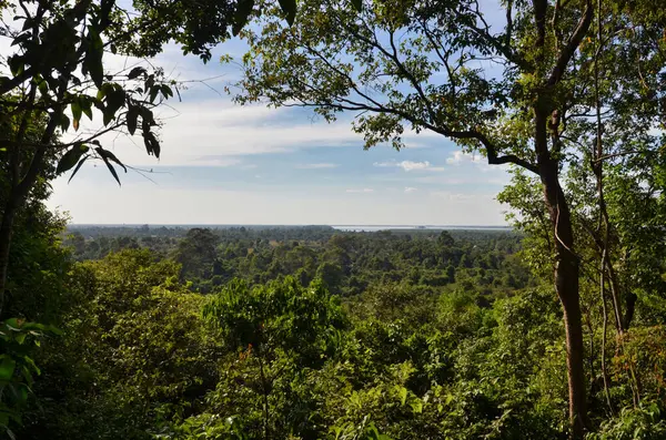 Angkor Wat Tapınağı Kamboçya antik dünya mirası unsesco. Yüksek kalite fotoğraf