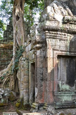 Angkor Wat Tapınağı Kamboçya antik dünya mirası unsesco. Yüksek kalite fotoğraf