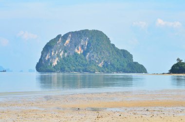Tayland 'da palmiye ağaçları Asya' da bulutlar oluşturur. Yüksek kalite fotoğraf