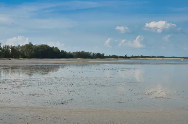 Tayland 'da palmiye ağaçları Asya' da bulutlar oluşturur. Yüksek kalite fotoğraf