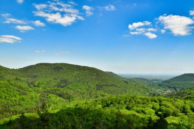 Yeşil ağaçlar tepeler, platin ormanlarda mavi gökyüzü, Almanya baharı. Yüksek kalite fotoğraf