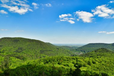 Yeşil ağaçlar tepeler, platin ormanlarda mavi gökyüzü, Almanya baharı. Yüksek kalite fotoğraf