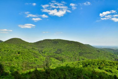 Yeşil ağaçlar tepeler, platin ormanlarda mavi gökyüzü, Almanya baharı. Yüksek kalite fotoğraf