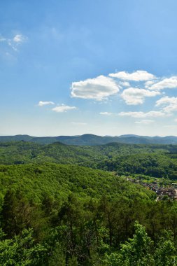 Pfalz 'daki Forest Hills, Almanya' nın mavi gökyüzü. Yüksek kalite fotoğraf