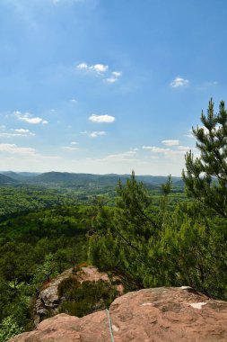 Pfalz 'daki Forest Hills, Almanya' nın mavi gökyüzü. Yüksek kalite fotoğraf