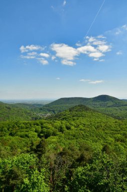 Pfalz 'daki Forest Hills, Almanya' nın mavi gökyüzü. Yüksek kalite fotoğraf