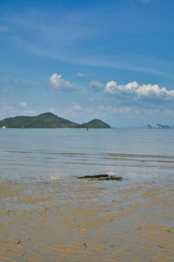 Tayland 'da palmiye ağaçları Asya' da bulutlar oluşturur. Yüksek kalite fotoğraf