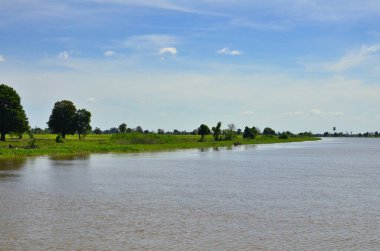 Mekong Nehri Kamboçya Vietnam Asya Uzun Kuyruk Tropik. Yüksek kalite fotoğraf