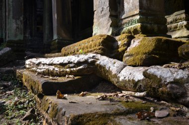 Angkor Wat Tapınağı Kamboçya antik dünya mirası unsesco. Yüksek kalite fotoğraf