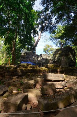 Angkor Wat Tapınağı Kamboçya antik dünya mirası unsesco. Yüksek kalite fotoğraf