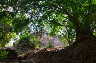 Angkor Wat Tapınağı Kamboçya antik dünya mirası unsesco. Yüksek kalite fotoğraf
