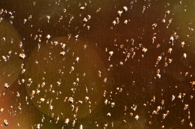 Pencereye düşen yağmur damlaları gece sokaklarını ıslatıyor. Yüksek kalite fotoğraf