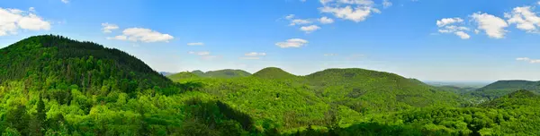 Orman manzarasını damak yaz masmavi gökyüzü bulutları anweiler. Yüksek kalite fotoğraf