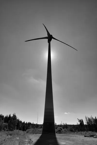 Yel değirmeni rüzgar türbini elektrik enerji parkı ekolojisi yenilenebilir. Yüksek kalite fotoğraf