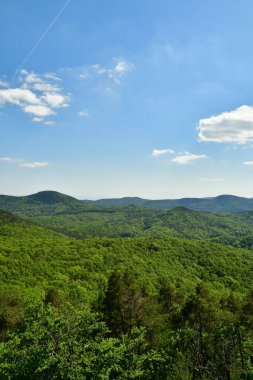 Pfalz 'daki Forest Hills, Almanya' nın mavi gökyüzü. Yüksek kalite fotoğraf