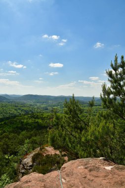 Pfalz 'daki Forest Hills, Almanya' nın mavi gökyüzü. Yüksek kalite fotoğraf