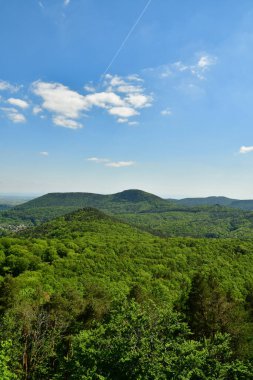 Pfalz 'daki Forest Hills, Almanya' nın mavi gökyüzü. Yüksek kalite fotoğraf