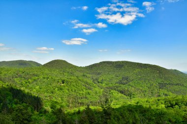 Yeşil ağaçlar tepeler, platin ormanlarda mavi gökyüzü, Almanya baharı. Yüksek kalite fotoğraf