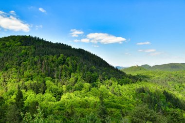 Yeşil ağaçlar tepeler, platin ormanlarda mavi gökyüzü, Almanya baharı. Yüksek kalite fotoğraf