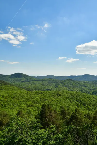 Pfalz 'daki Forest Hills, Almanya' nın mavi gökyüzü. Yüksek kalite fotoğraf