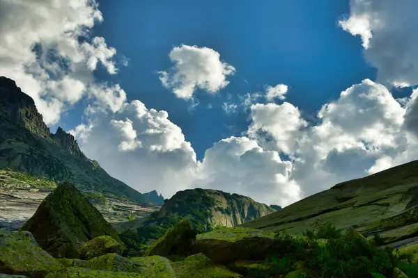 stock image alpine panorama Grimsel Pass Swizerland Bckground Light Summer . High quality photo