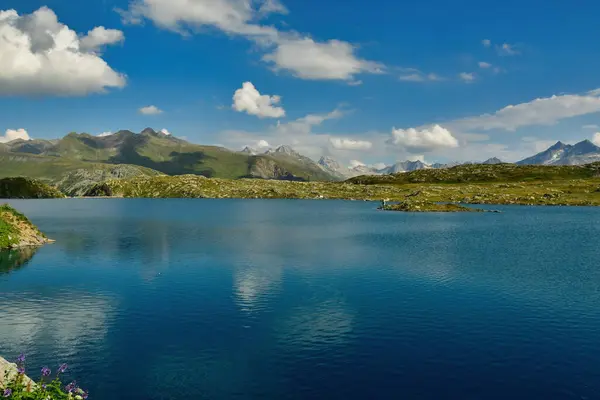 Alp panorama Grimsel Geçidi Swizerland Bckground Hafif Yazı. Yüksek kalite fotoğraf