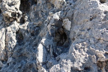 Dolomitlere tırmanan İtalyanlar açık hava sporları yapıyor. Yüksek kalite fotoğraf