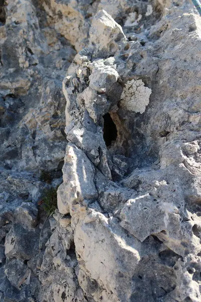 Dolomitlere tırmanan İtalyanlar açık hava sporları yapıyor. Yüksek kalite fotoğraf