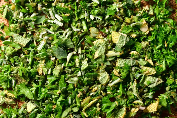 Taze kesilmiş bitkiler yeşil arka plan detay aroması. Yüksek kalite fotoğraf