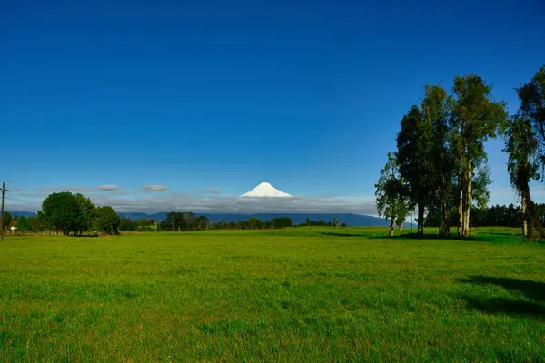 Osorno Vulcano, kar şapkalı yeşil çayır Şili. Yüksek kalite fotoğraf
