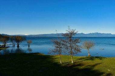 Pucon Şili Patagonya Panorama 'dan Villarrica Vulcano. Yüksek kalite fotoğraf