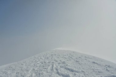  Volkanik puyehue kış kayağı kar ormanı doğayı bulutlandırır. Yüksek kalite fotoğraf