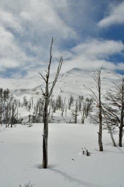  vulcano puyehue winter ski snow forest clouds nature chile. High quality photo clipart