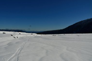 Llaima Vulcano in Conguillio national park patagonia chile snow landscape. High quality photo clipart