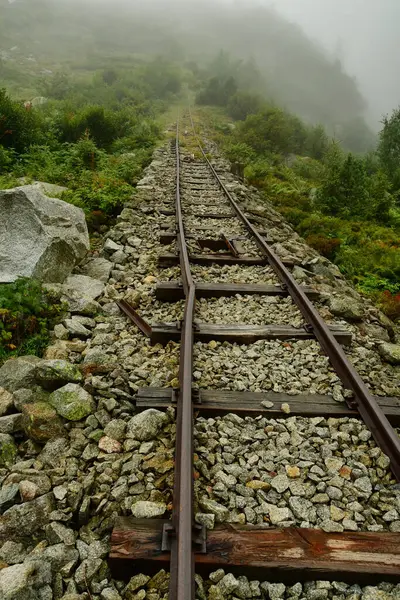 Alp Dağları 'ndaki eski demiryolu rayları. Taşıyıcı çelik doğa ormanları. Yüksek kalite fotoğraf