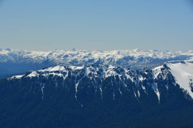 Karlı Dağ Ormanı Panorama arka plan patagonya Şili. Yüksek kalite fotoğraf