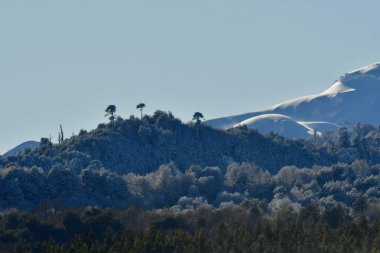 Llaima Vulcano, Conguillio Ulusal Parkı Patagonya Şili kar manzarasında. Yüksek kalite fotoğraf