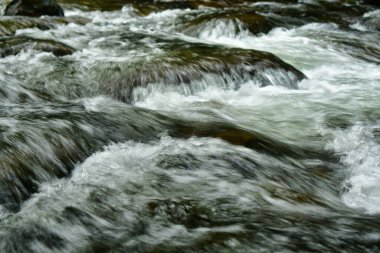 Flowing Water in river with rocks natural motion. High quality photo clipart