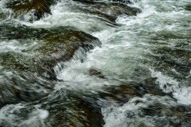 Flowing Water in river with rocks natural motion. High quality photo clipart