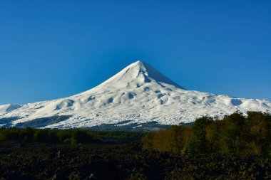 Llaima Vulcano from a Lava Field near by Patagonia Chile. High quality photo clipart